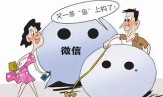 河北涿州爆料事件最新,揭秘背后真相与网络舆论风暴